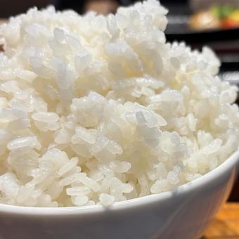 ごはん ごはん,食べ物,白いの写真素材