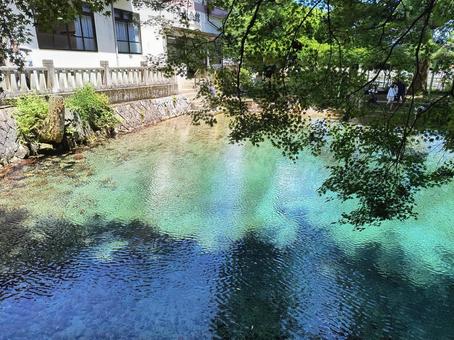 別府弁天池 別府弁天池の写真