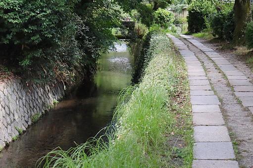 京都 哲学の道 京都 哲学の道 哲学の道,京都,観光の写真素材