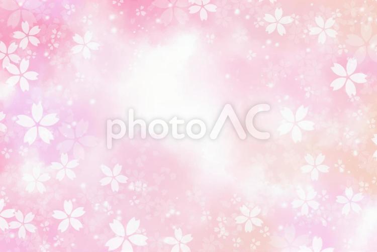 水彩風桜背景　ピンク 桜,水彩,ピンクの写真素材