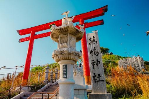 【青森】本八戸の蕪嶋神社 2025 【青森】本八戸の蕪嶋神社 2025 蕪嶋神社,蕪嶋,神社の写真素材
