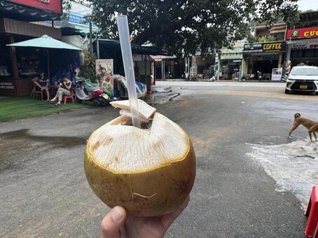 ココナッツ ココナッツ,ココナッツウォーター,ベトナムの写真素材