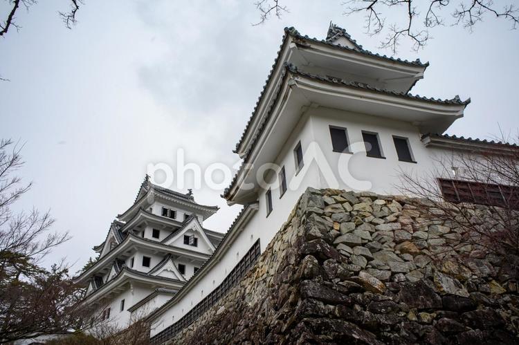 郡上八幡城 郡上八幡城,城,郡上市の写真素材