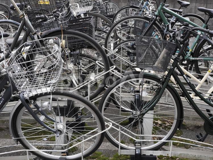駐輪場 駐輪場,自転車,有料駐輪場の写真素材