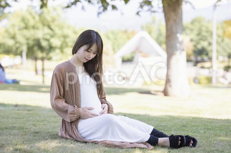 マタニティ／妊婦のイメージ 妊婦,妊娠,マタニティの写真素材