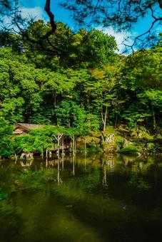 【石川】兼六園 文化財指定庭園の写真