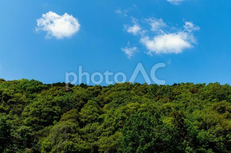 爽やかな青空と山の木々 青空,風景,自然の写真素材