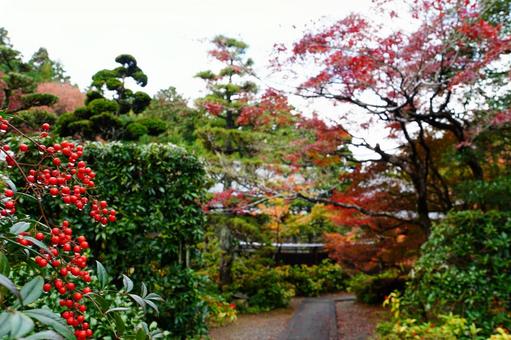 赤色が映える庭園 赤色が映える庭園の写真