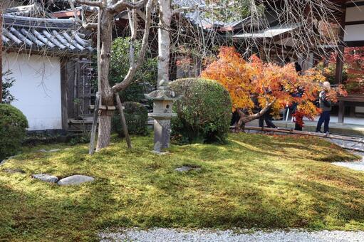 二尊院　境内 二尊院,境内,小倉山の写真素材