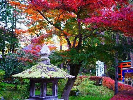 秋の紅葉 中尊寺 秋の紅葉 中尊寺の写真