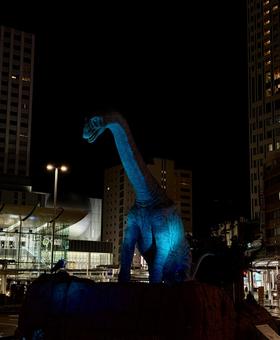 福井駅　夜の恐竜広場　世界糖尿病デー 福井駅,恐竜,福井県の写真素材