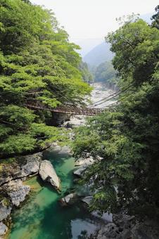 祖谷渓谷かずら橋3 祖谷渓谷かずら橋3の写真
