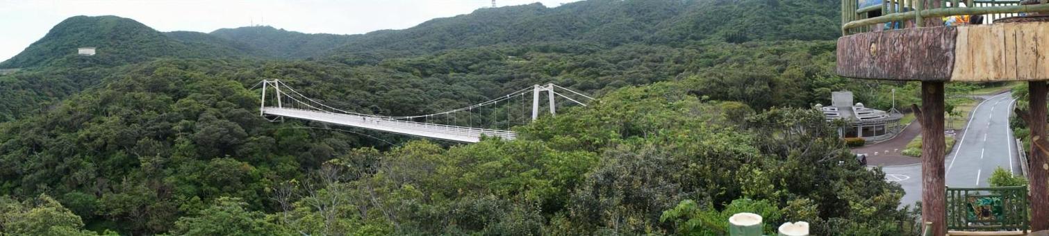 吊り橋 吊り橋の写真