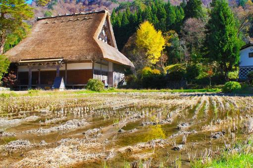 秋の白川郷・日本の心のふるさと 秋の白川郷・日本の心のふるさと 白川郷,合掌造り,集落の写真素材