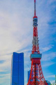 プリンス芝公園から東京タワー プリンス芝公園から東京タワー 東京タワー,青空,ビルの写真素材
