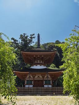 真言宗金剛寺の塔 真言宗金剛寺の塔の写真