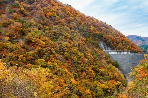 鳴子ダムの紅葉⑸ 秋,紅葉,山の写真素材
