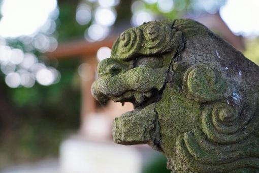 狛犬の横顔の写真