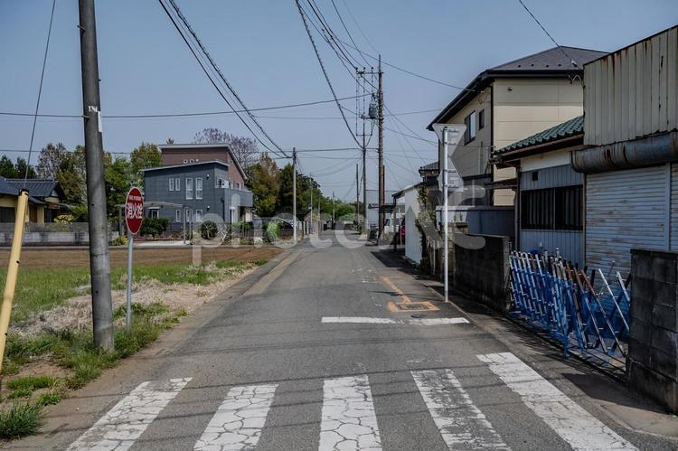 北本市の住宅地 住宅,家,建物の写真素材