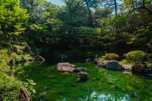 【和歌山】和歌山城 2025 【和歌山】和歌山城 2025 和歌山城,城,和歌山の写真素材