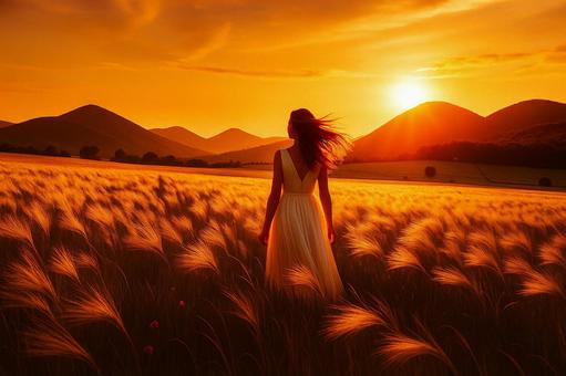 麦畑に佇む女性の後ろ姿 麦畑に佇む女性の後ろ姿の写真