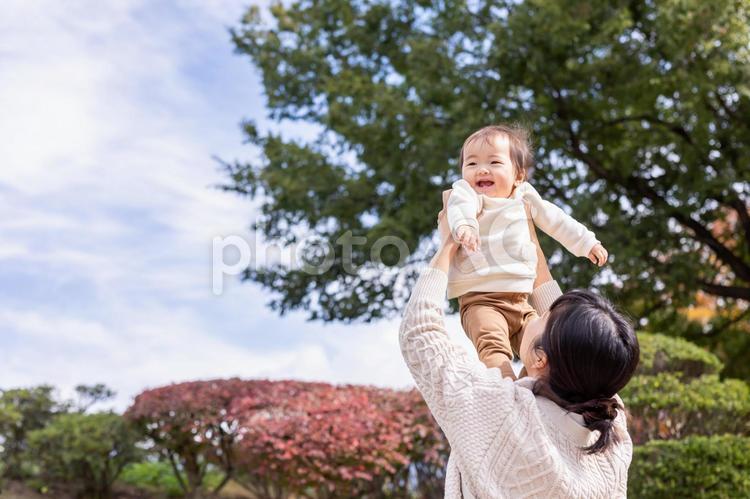 秋の公園で遊ぶ赤ちゃんとママ 赤ちゃん,ママ,空の写真素材
