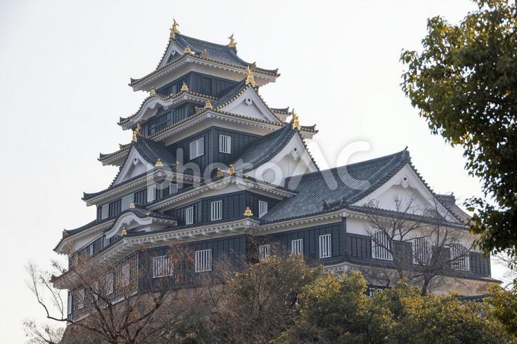 岡山旭川の月見橋付近から見た岡山城 岡山城,お城,烏城の写真素材