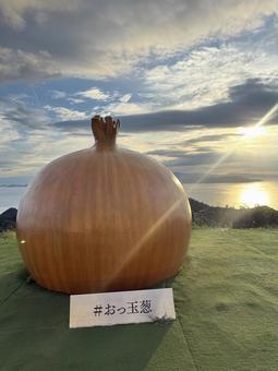 玉ねぎ 玉ねぎ 神戸,兵庫,旅行の写真素材