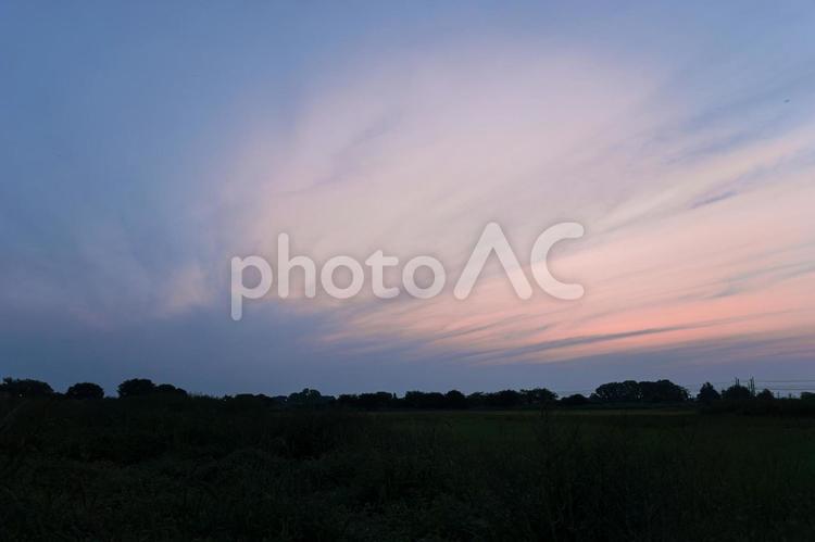 早朝の瓦葺の風景 マジックアワー,日の出前,木々の写真素材