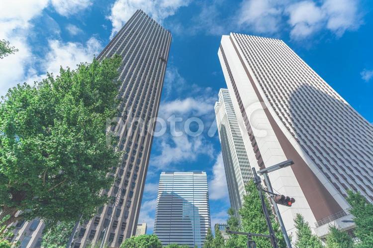 西新宿の高層ビル群と青空 西新宿,高層ビル,都市の風景の写真素材