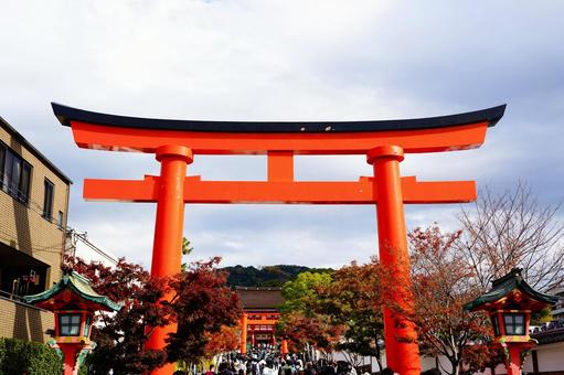 紅葉と伏見稲荷大社 伏見稲荷大社,鳥居,朱色の写真素材