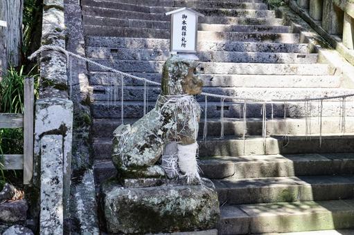 諏訪神社 止め事成就の狛犬 諏訪神社 止め事成就の狛犬 諏訪神社,お諏訪さん,狛犬の写真素材