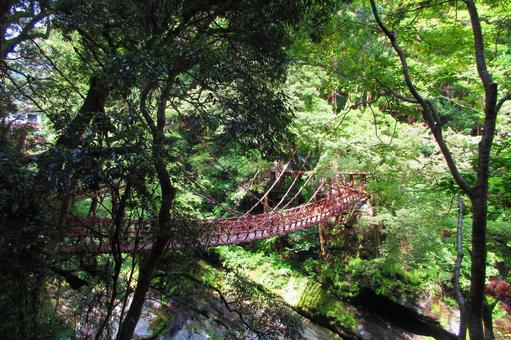 徳島県-祖谷のかずら橋 徳島県-祖谷のかずら橋の写真