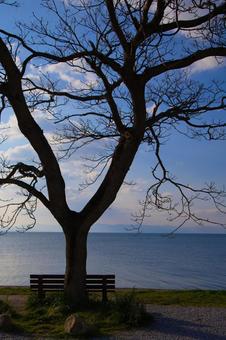 【琵琶湖】あのベンチ 【琵琶湖】あのベンチ 琵琶湖,滋賀県,風景の写真素材