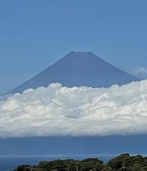 伊豆から見た富士山 伊豆から見た富士山の写真