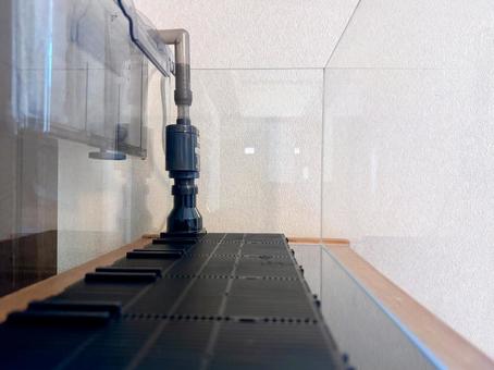 水槽セットアップ(底面フィルター設置2) 水槽セットアップ(底面フィルター設置2)の写真