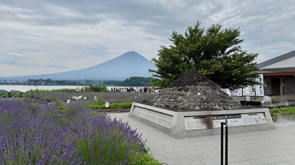 富士 大石公園,観光地,富士山の写真素材
