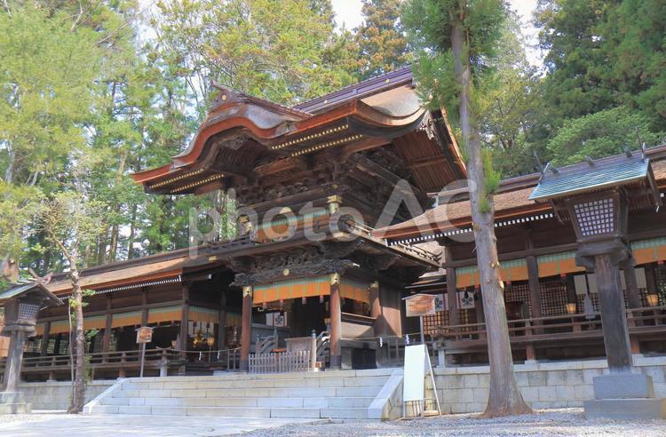 長野県　諏訪大社 諏訪大社,寺,長野の写真素材
