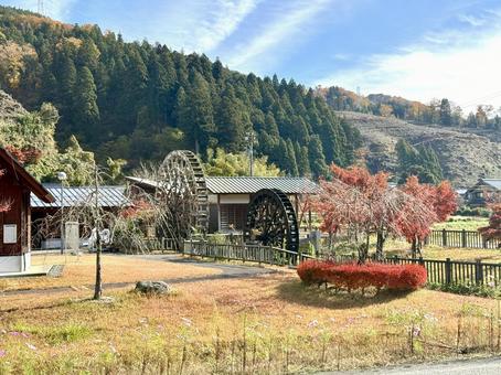 11月　秋の竹田水車メロディーパーク 竹田水車メロディーパーク,自然,水車の写真素材