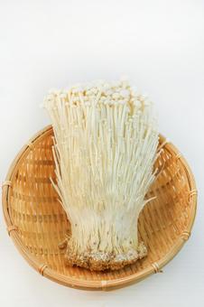 えのき えのき えのきたけ,えのき,きのこの写真素材