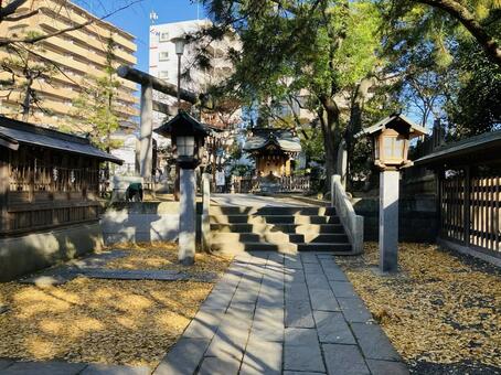 船橋大神宮　意富比神社　参道 船橋大神宮,意富比神社,千葉県船橋市の写真素材