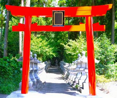 赤い鳥居 赤い鳥居の写真