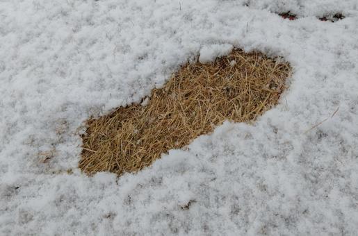 雪上の足跡 雪上の足跡 雪,冬,足跡の写真素材