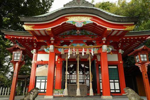 朝の川越市、八幡宮本堂 朝の川越市、八幡宮本堂 神社仏閣,神社,八幡宮の写真素材