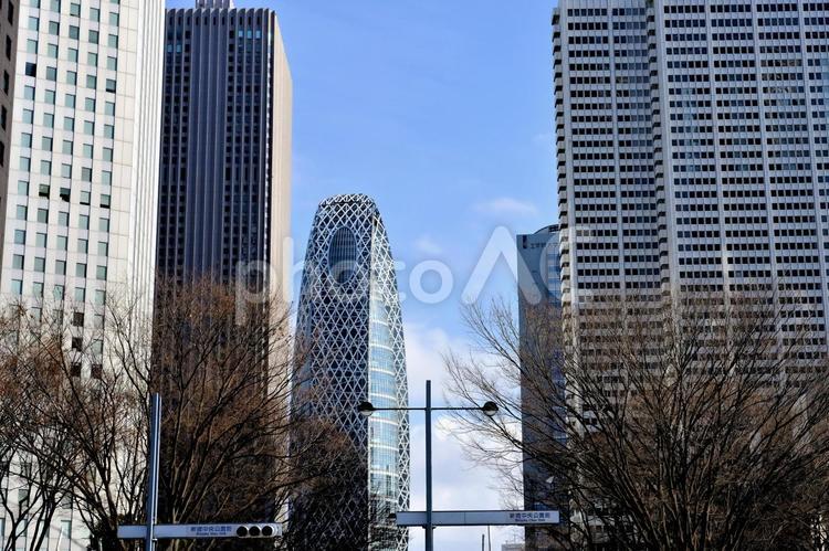 新宿のビル群14 新宿,都市風景,都会の写真素材