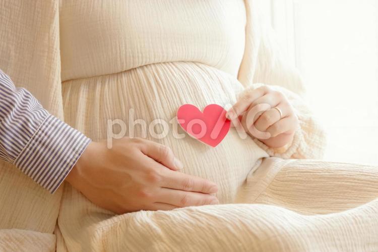 妊娠中のお腹の前でハートをもつ男女 夫婦,妊婦,妊娠の写真素材
