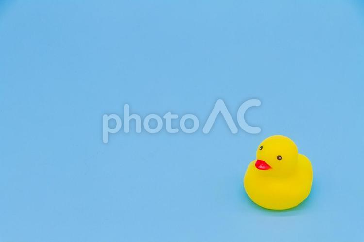 水色背景にアヒルの置物 お風呂,アヒル,水の写真素材