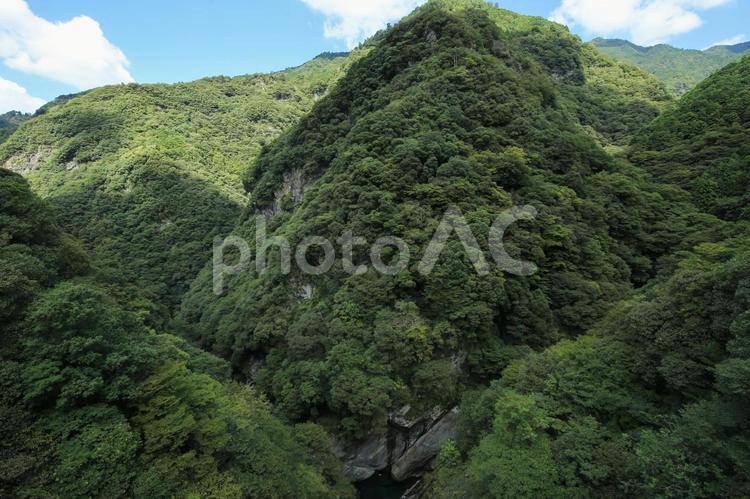 愛媛県西条市　止呂峡の風景 止呂峡,止呂淵,渓谷の写真素材