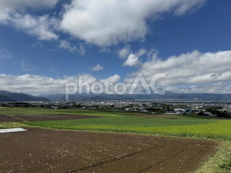 春の畑（長野県塩尻市） 畑,茶色,風景の写真素材