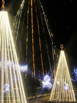 はままつフラワーパーク　イルミネーション イルミネーション,夜景,クリスマスの写真素材